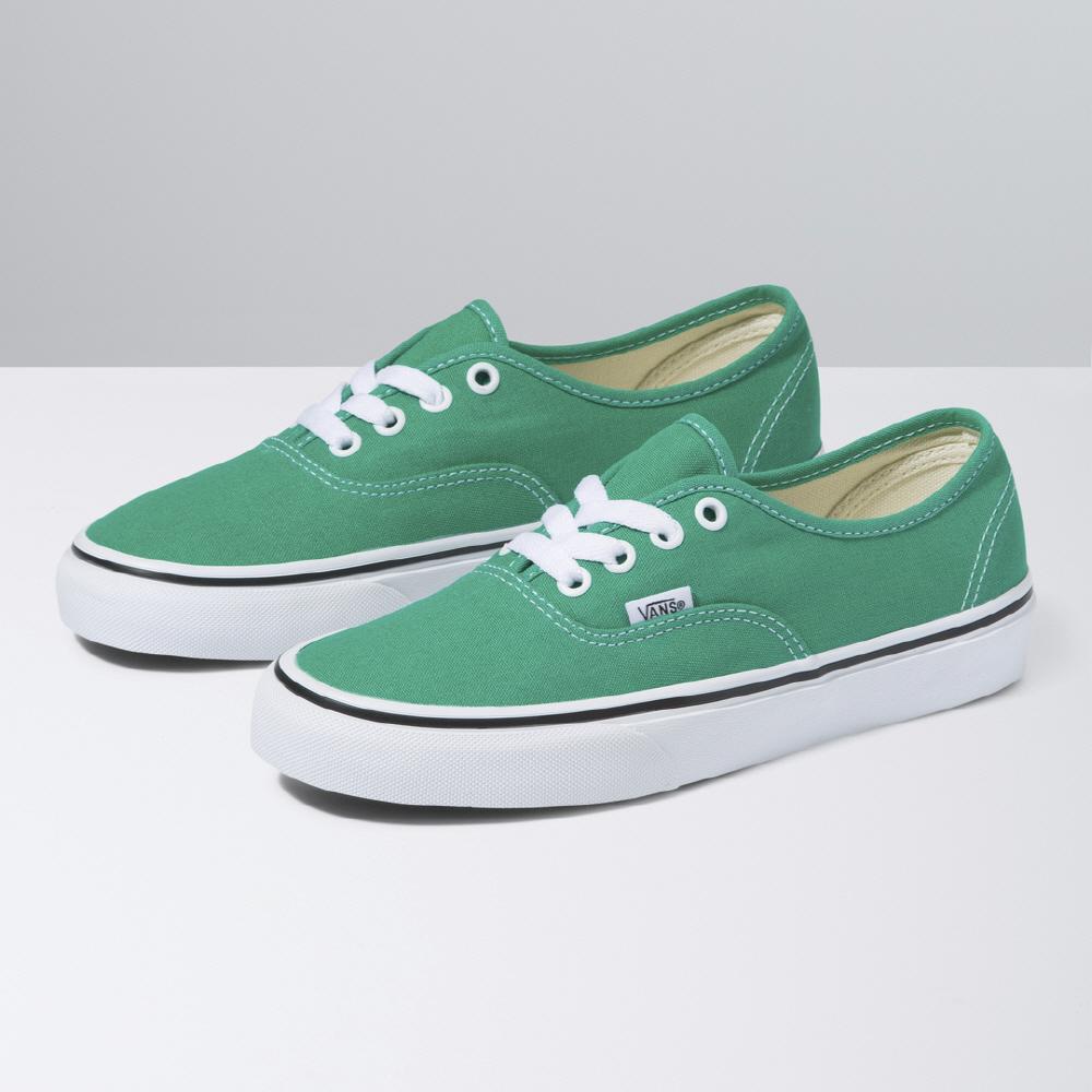 컬러 띠어리 Authentic 어센틱