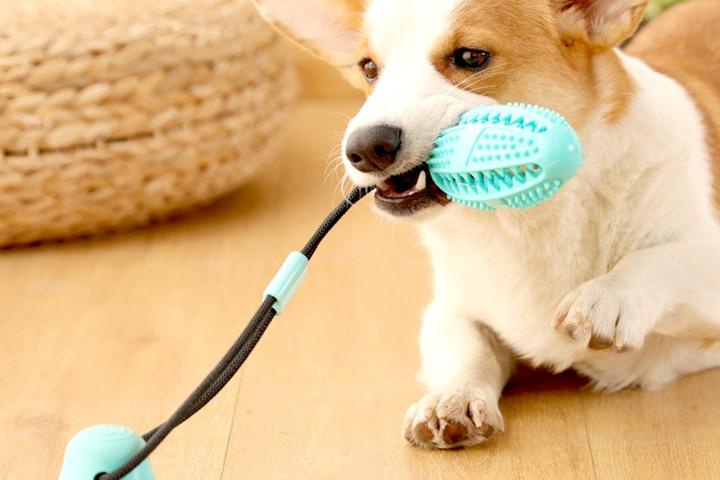 강아지 터그놀이 노즈워크 대형견 장난감 치석제거