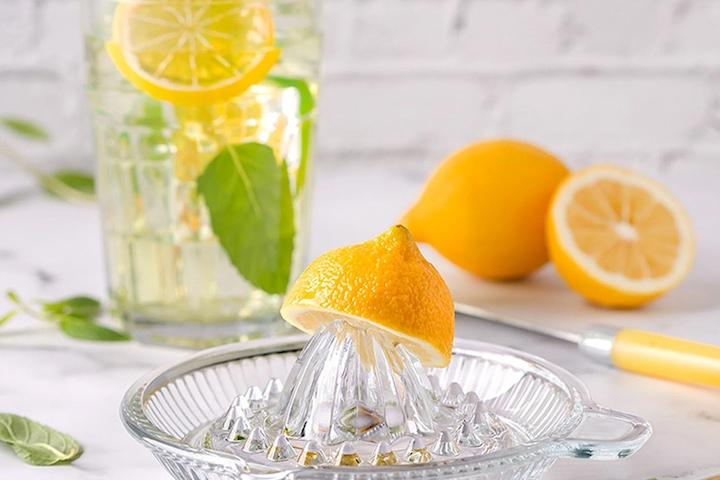 유리 레몬즙기 스퀴저 착즙기