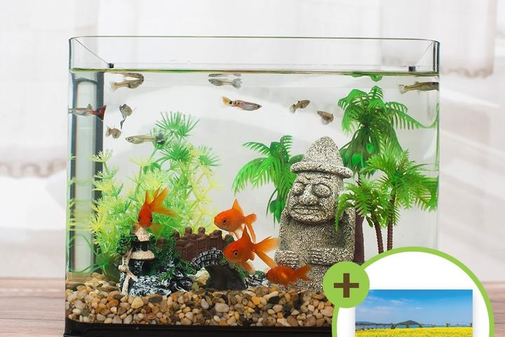 돌하르방 미니어항세트(중) 유리 수족관세트
