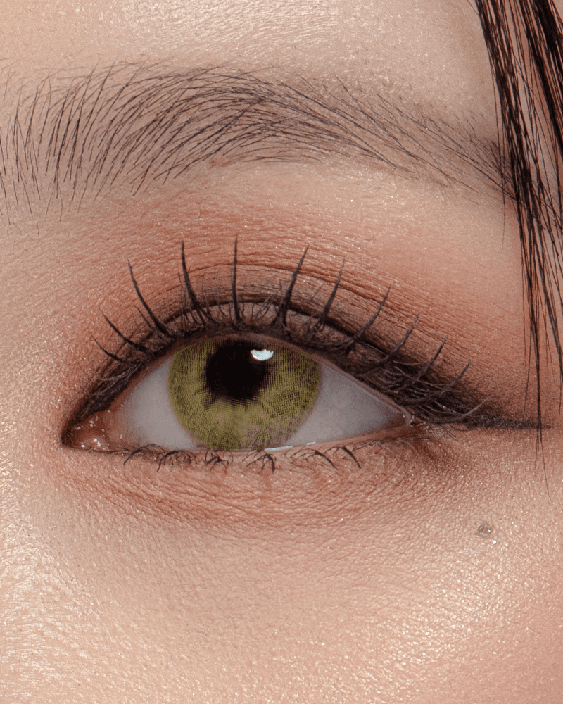 [원데이] 컬러에딕트 리치 골드