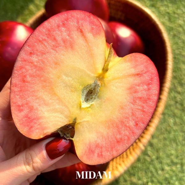 (100세트 수량한정) 상콤달콤! 신품종 사과 애플피치 2kg 4kg