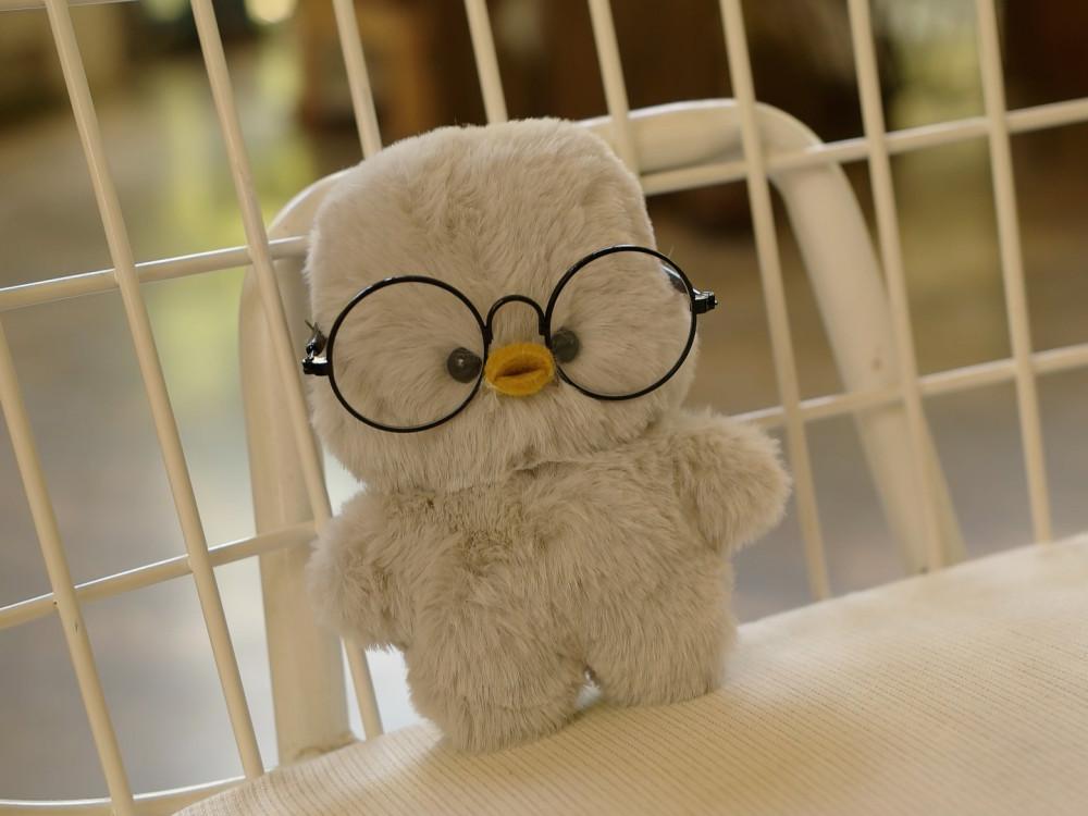 DIY키트 쉽고 귀여운 아기오리 만들기 동영상 취미 애착인형 학교수업 동아리활동 프롬리얼