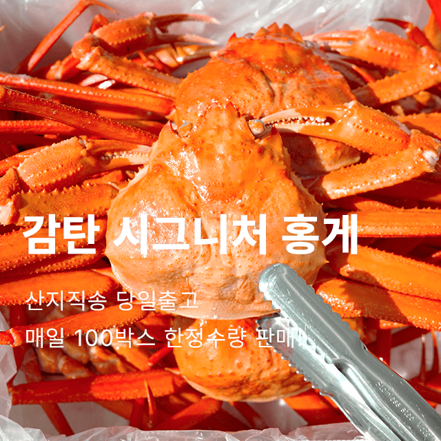 [특급구성/주문폭주] 홍게 압도적 판매 1위