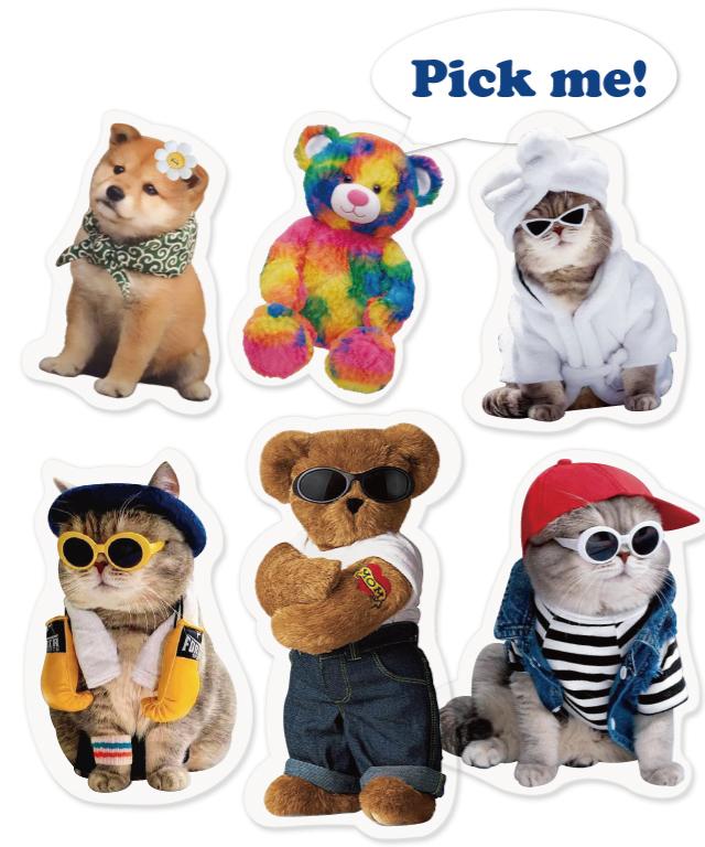 [무료배송🔥당일출고]2+1 맥세이프 그립톡 스마트톡 아크릴톡 귀여운 곰돌이 강아지 고양이 그립톡세트 아이폰 15 14 13 12 11 갤럭시 S21 S22 S23 친구 생일 선물