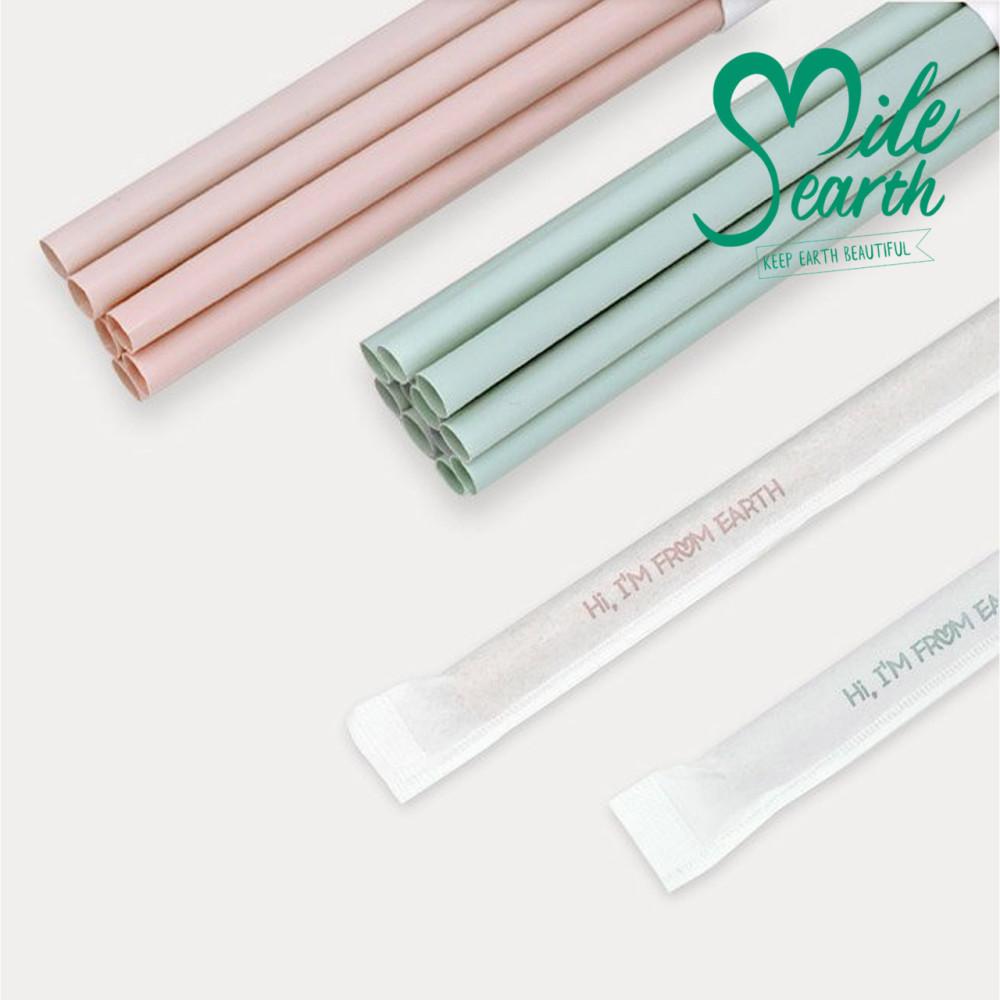 옥수수 빨대 100개 친환경 전분 생분해 스트로우 PLA 개별포장 210