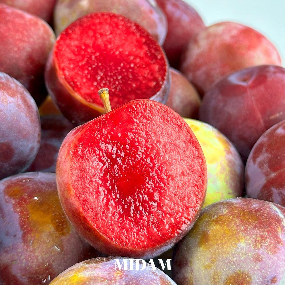 진한 붉은빛으로 더 맛있는 고당도 루비자두