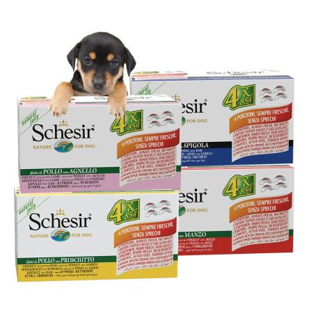 이런 상품 어때요? 쉐지애 강아지캔(젤리타입) 4종 85gX4개입(3박스)