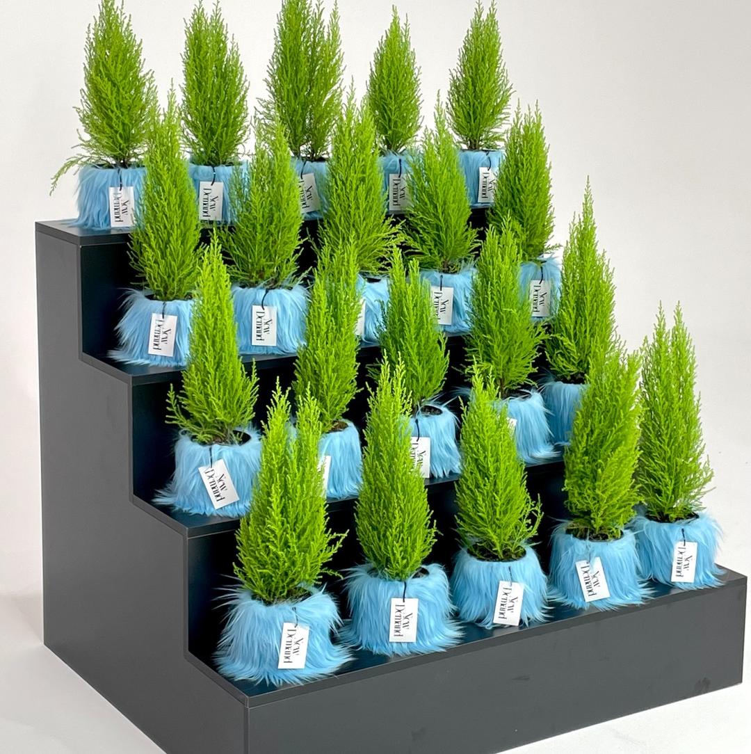 팟슬리브 썸머 1+1 프로모션