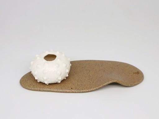 아소토 바다한조각 샌디트레이/뿔성게