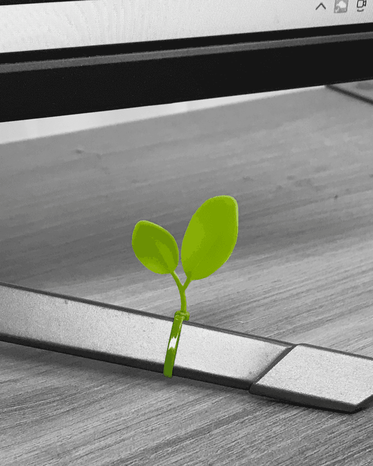 Green Tie 그린 타이