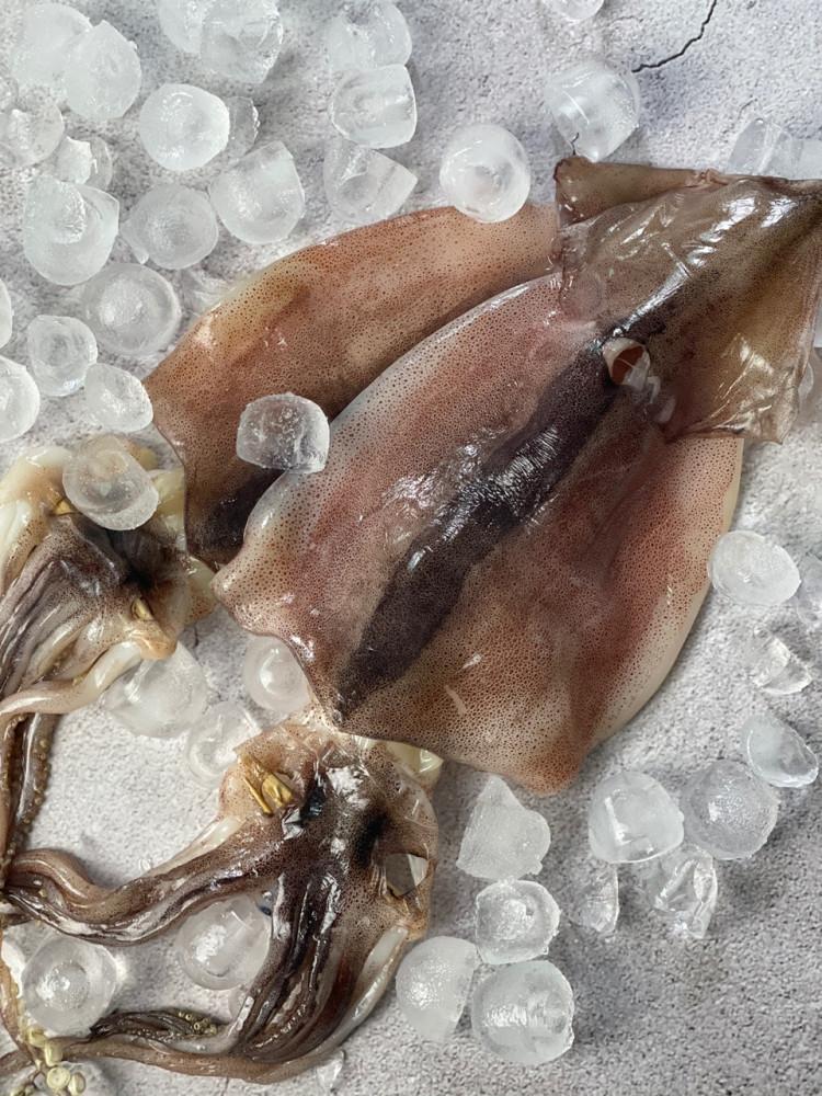 [자연먹거리] 100% 국내산 당일바리 피데기오징어 10미