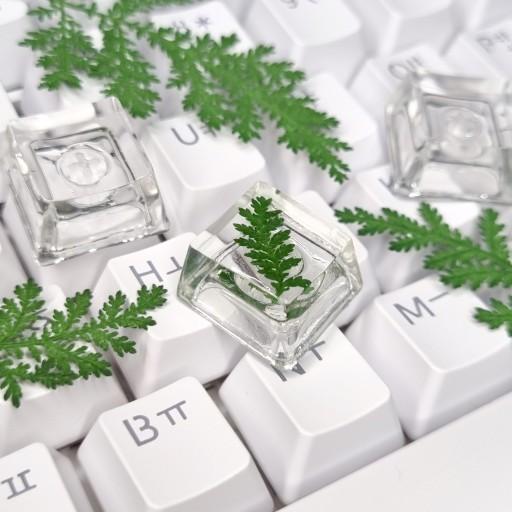 🌿 싱그러운 이파리 키캡 🌿
