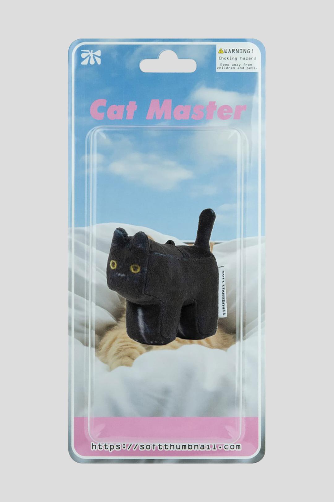 Mang, American Shorthair