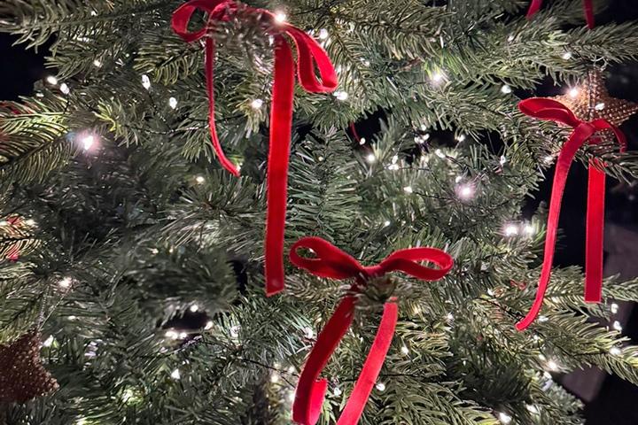 크리스마스 장식 소품 벨벳리본 오너먼트 10pcs 크리스마스 트리오너먼트