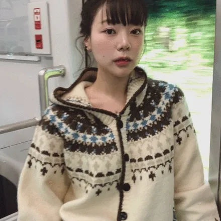 뉴플 노르딕 자가드 후드가디건