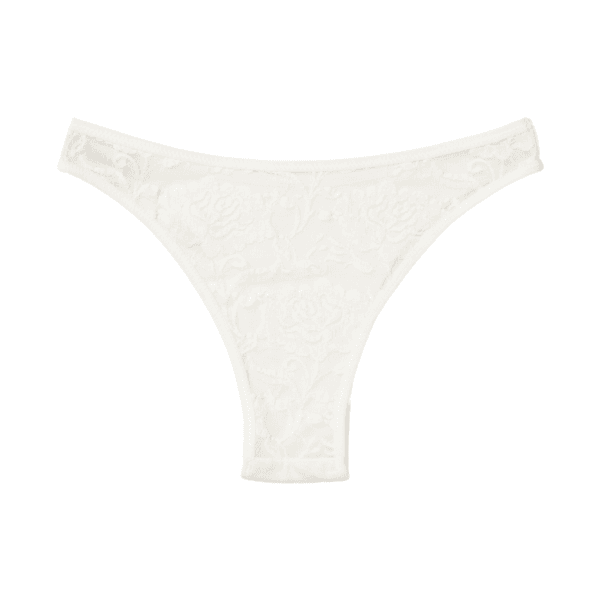 Lace Mesh Cheeky Panty(White)