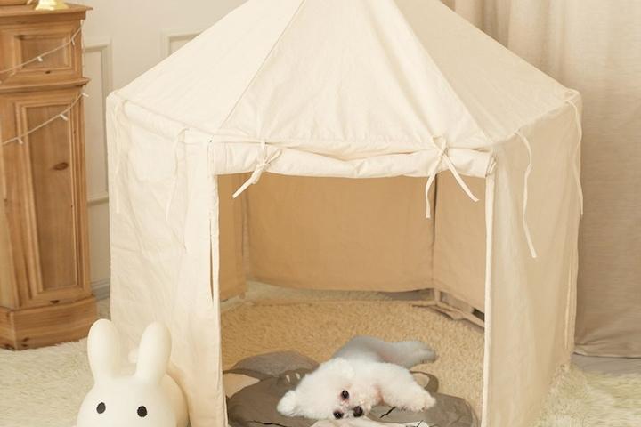 [해외] 애견 강아지 텐트 예쁜강아지집 특대형