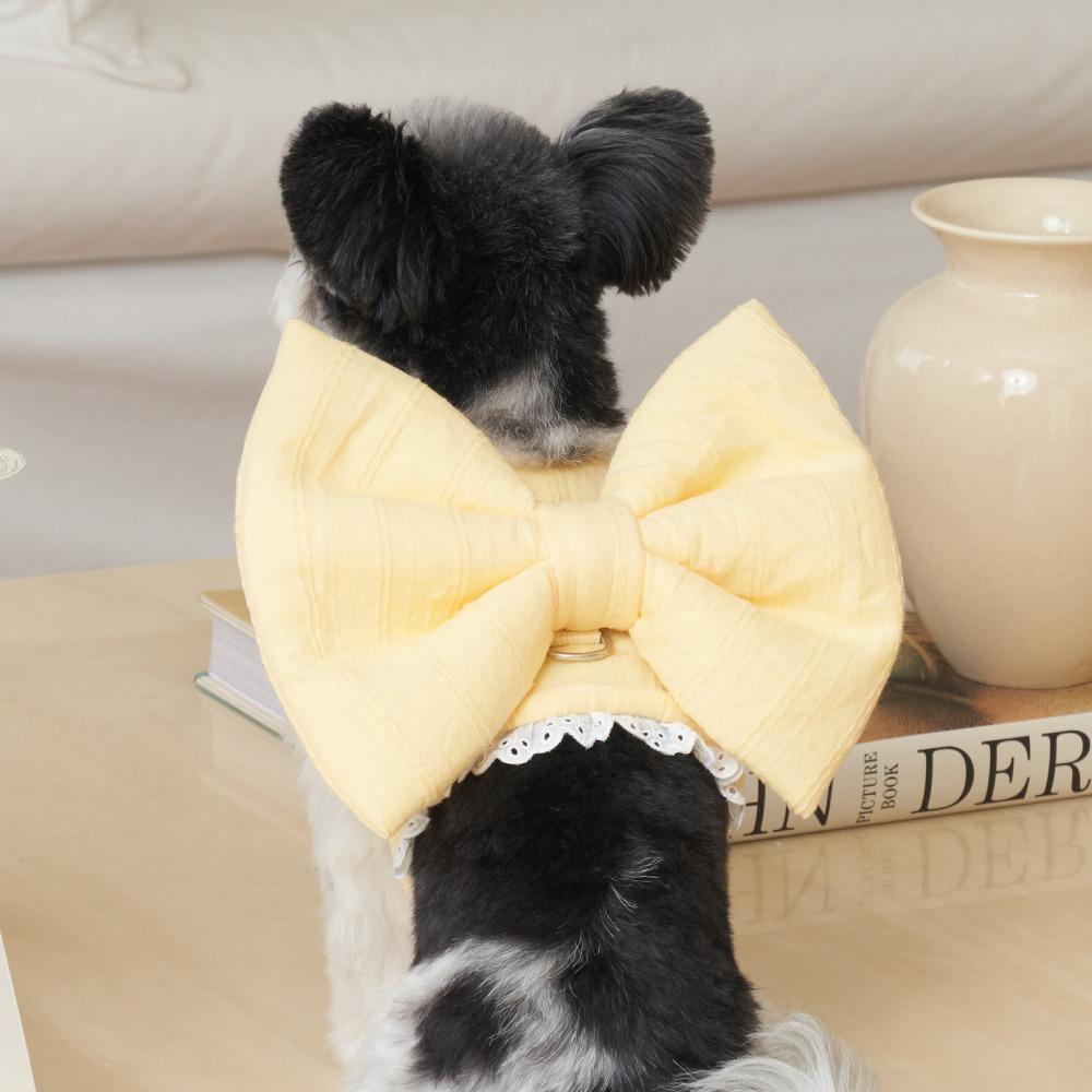 리본 하네스(5차입고)