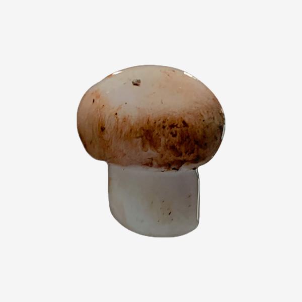 inimini | Mushroom griptok