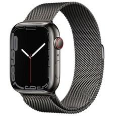 애플 Apple 애플워치 7 - 위시버킷