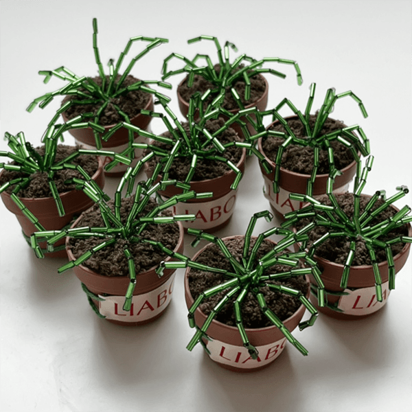 (LIABOTI) Rhipsalis Plants Keyring