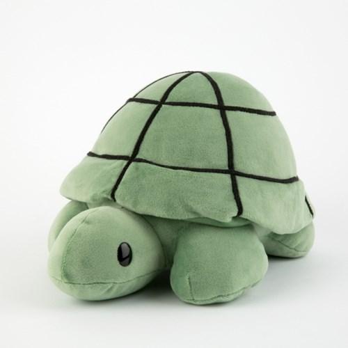 Turtle M (Bruna Family)
