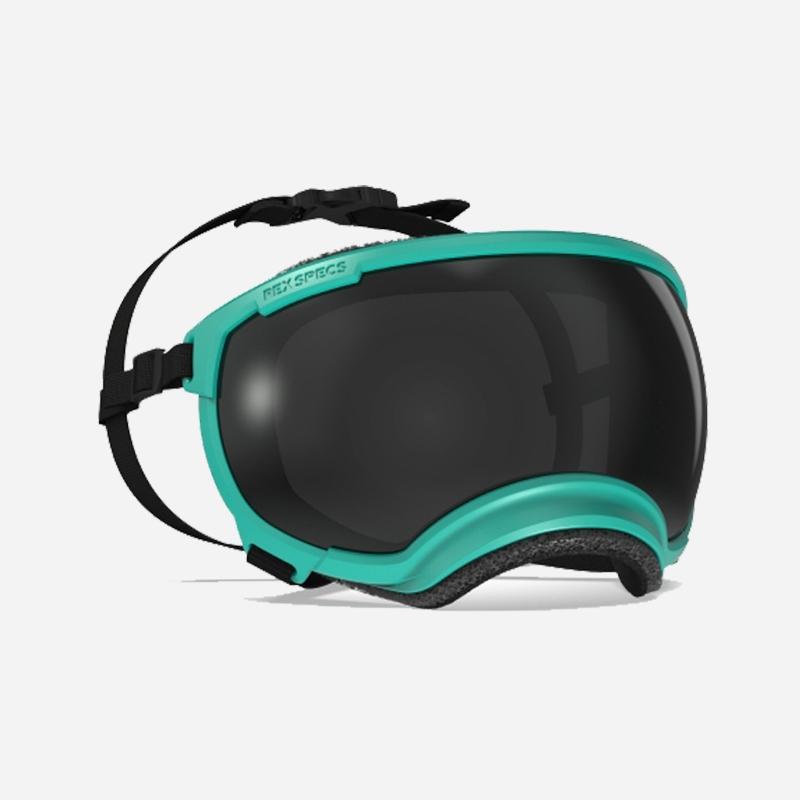 렉스스펙스 V2 고글 - 테이저 틸 프레임