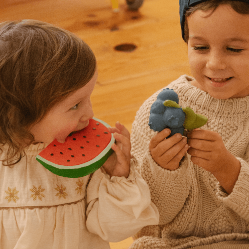 [올리앤캐롤] 월리수박 치발기 목욕놀이 EQ개발 아기장난감