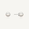 [미스그린] 쁘띠 펄 귀걸이 | Petite Pearl Earrings