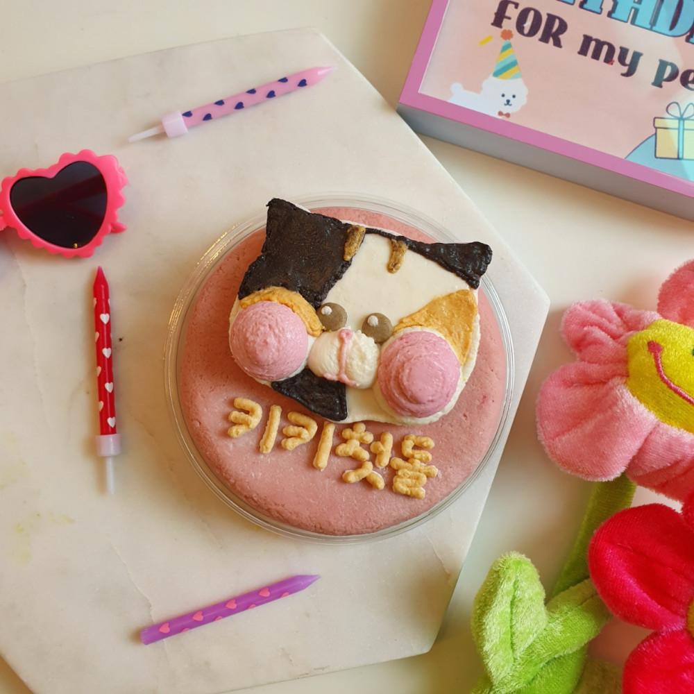 고양이전용 빵떡케이크 레터링 주문제작 생일 돌잔치 파티