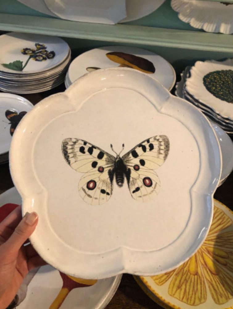 아스티에 드 빌라트-존데리앙 아폴로 나비 디너플레이트 /ASTIER de VILLATTE- John Derian Apollo Butterfly Plate ASPJHN69