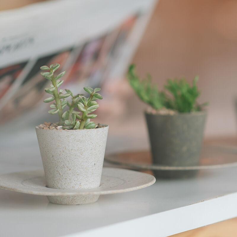 벼껍질 업사이클링 화분 플랜터 MINI 2colors