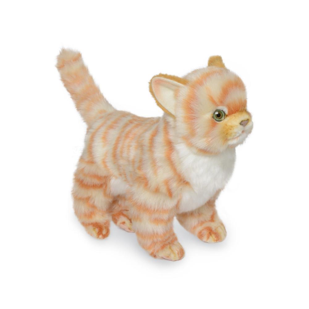 [한사토이] 6573 아기고양이 동물인형(Ginger)/30cm.L