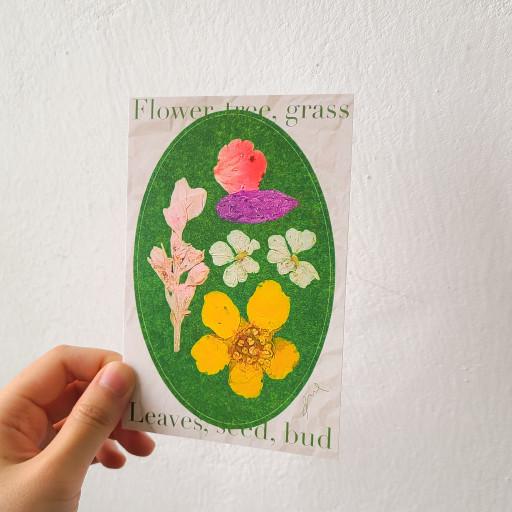 [엽서]풀밭수집가 압화 프린팅