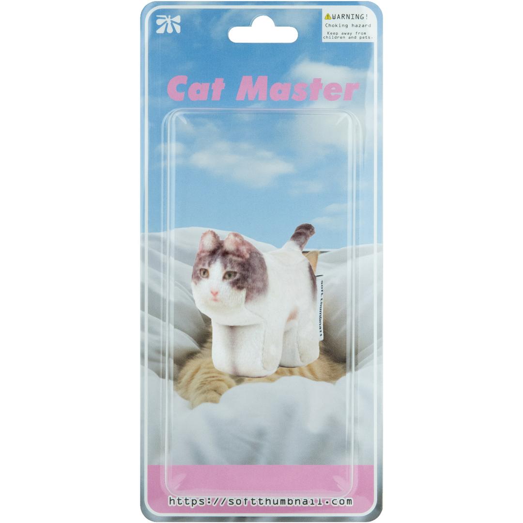 Milk, Domestic Shorthair