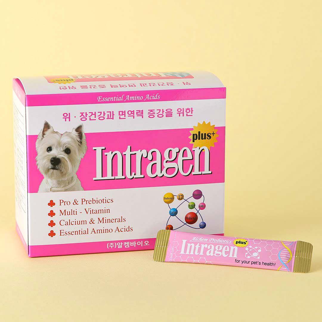 [간식할인전][ONLY펫프] 인트라젠 영양제 위장&면역 50p