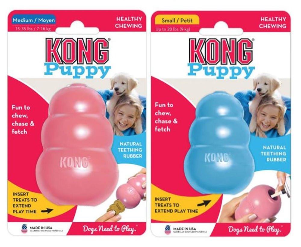 강아지 장난감 콩장난감 콩토이 퍼피 XS