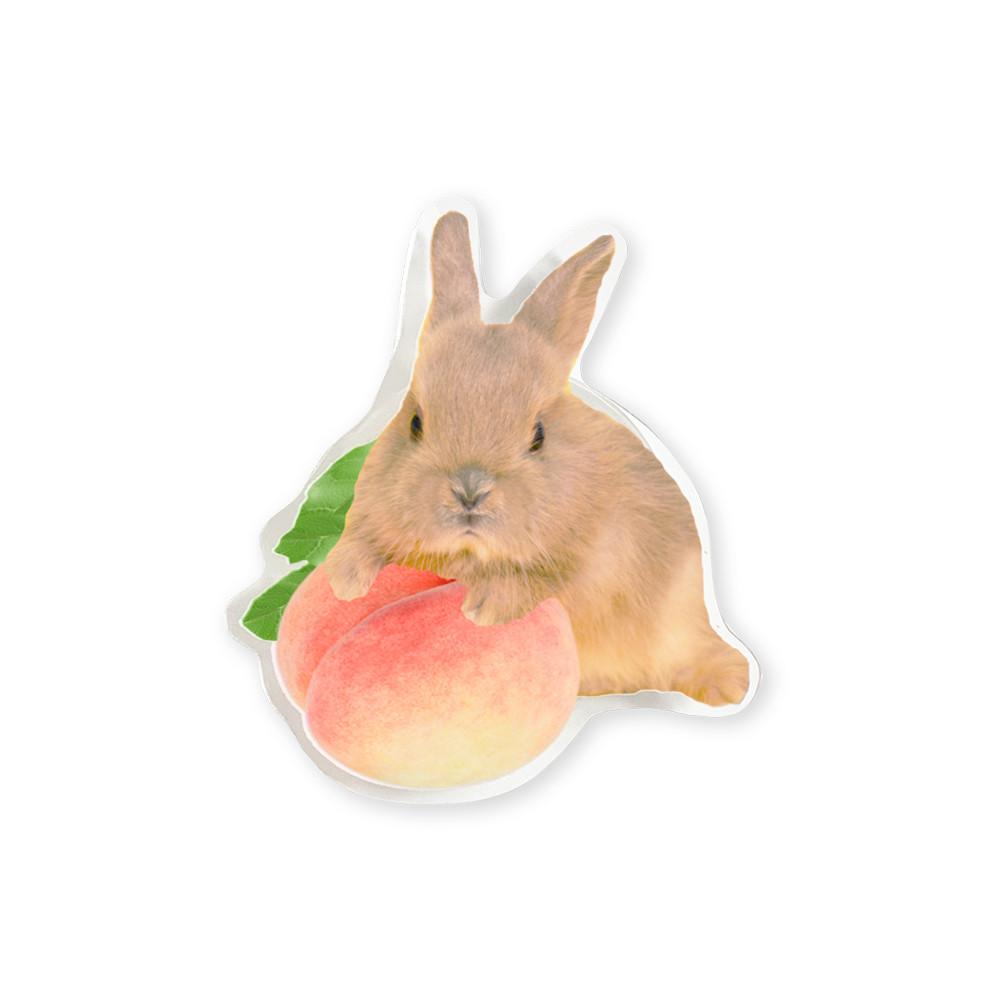 PEACH BUNNY 토끼 복숭아 그립톡 핸드폰 거치대 스마트톡