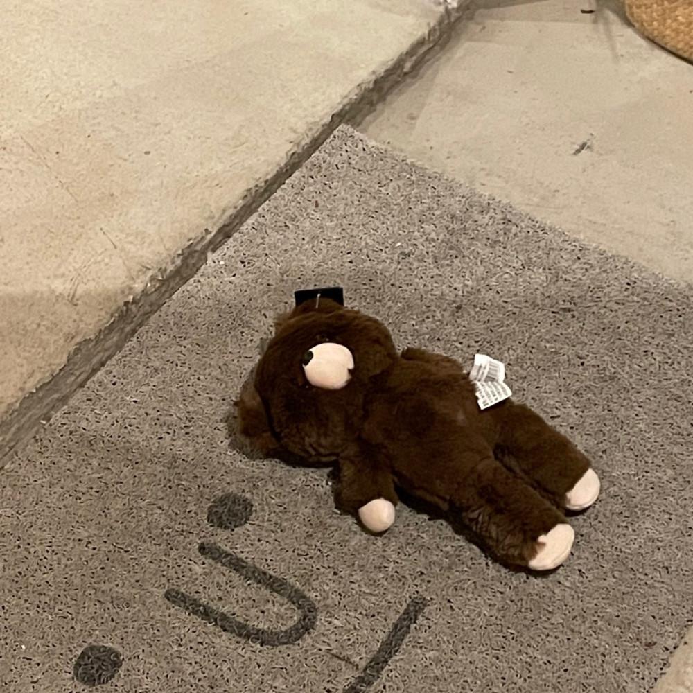 WB Weak Bear 허약 곰인형