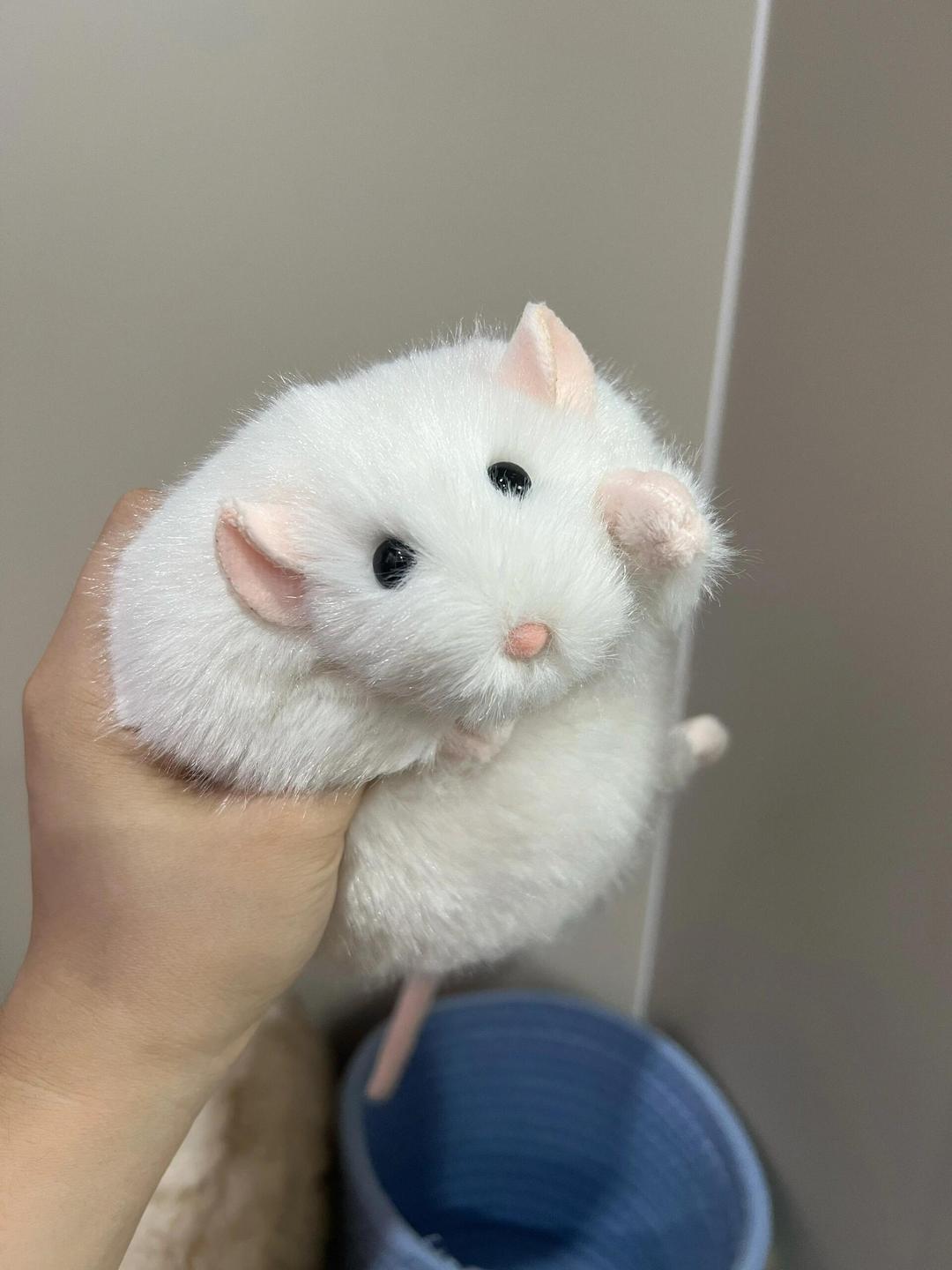 [Pre-order] The mouse is realistic 🐁 Handmade