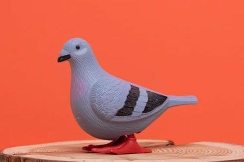 나만의 반려 비둘기 세트 (비둘기+산책줄+둥지)