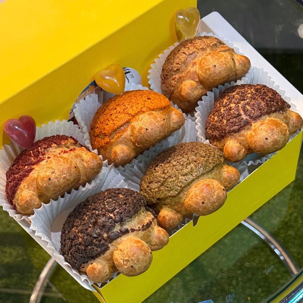 헬로트랜서퍼 거북이쿠키슈 거북이슈크림빵 8종 간식 집들이 디저트 센스있는 돌잔치 답례품 선물 세트 택배 [원산지:상세설명에 표시]