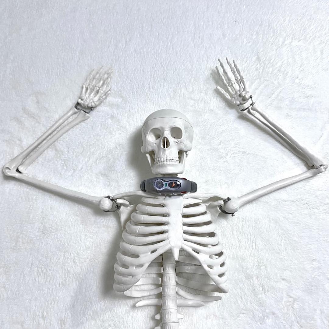 ZUCCa 카반 드 주카 아카이브 우주 벌레 시계