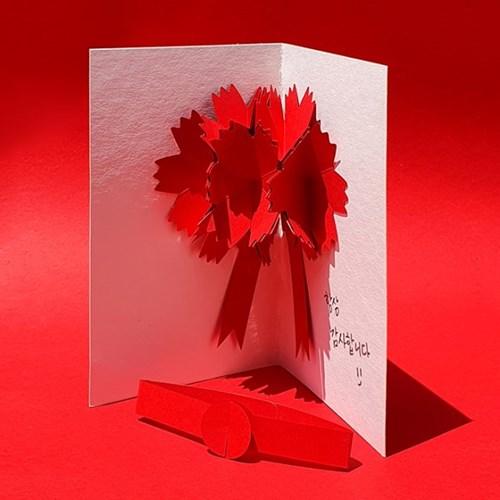 종이로 만드는 카네이션 팝업카드