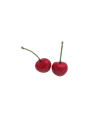 Cherry Point Magnet