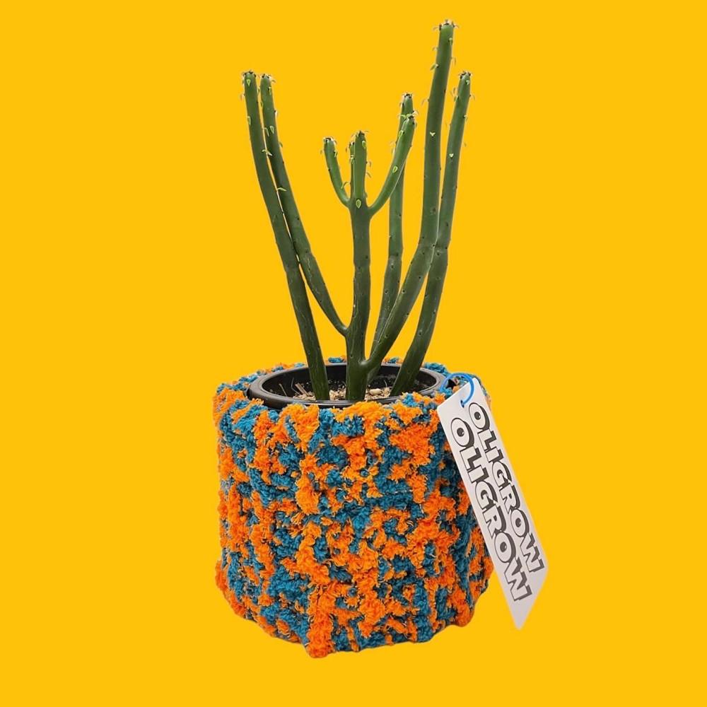 (Handmade 제작)    퍼피팟2 x 청산호 니팅화분 연필선인장 인테리어소품 커스텀화분 가시없는 선인장