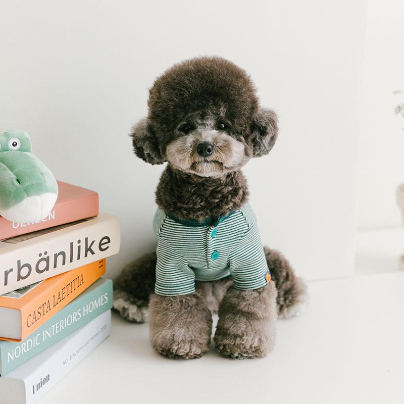 쥬시 스트라이프 티셔츠 - 그린