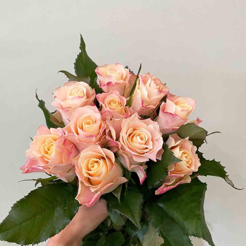 (중매인1호) 샤만트 연핑크장미 생화