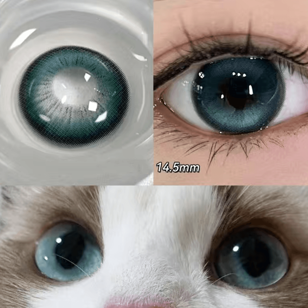 Dopamine Blue 14.5mm Contact Lenses(12 months wear)